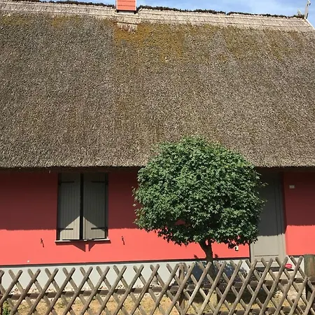 Ferienhaus Hornhecht Kamminke